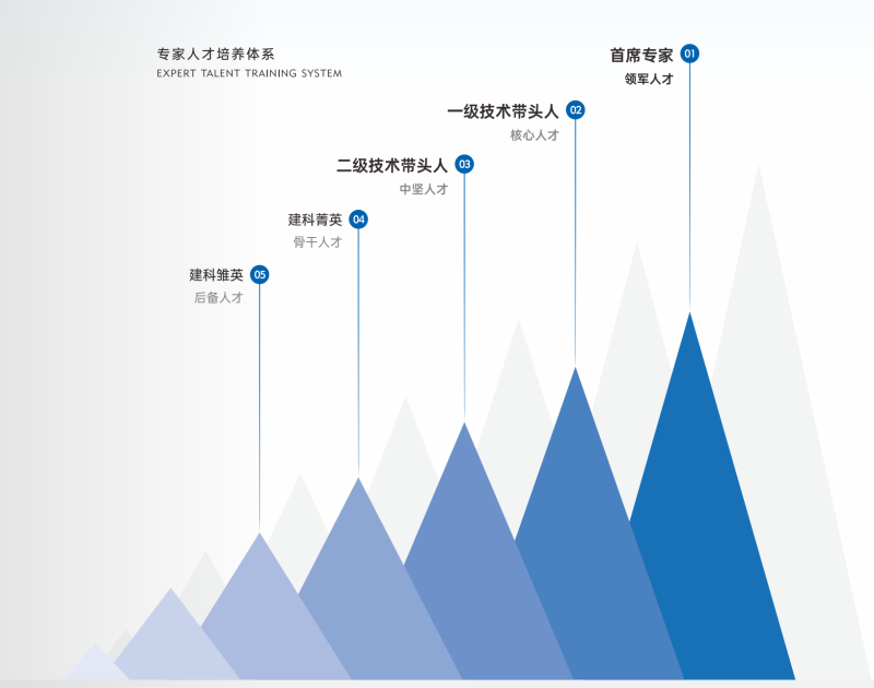 专家团队介绍-五级人才梯队.png
